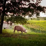 בית חווה Tourist Farm Skerlj Dutovlje