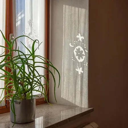 Farm stay Tourist Farm Skerlj *