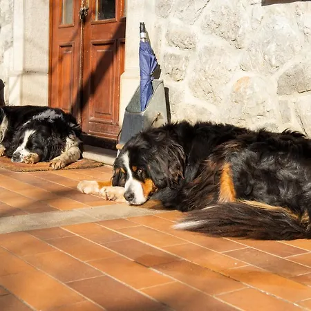 Tourist Farm Skerlj Κατάλυμα σε φάρμα