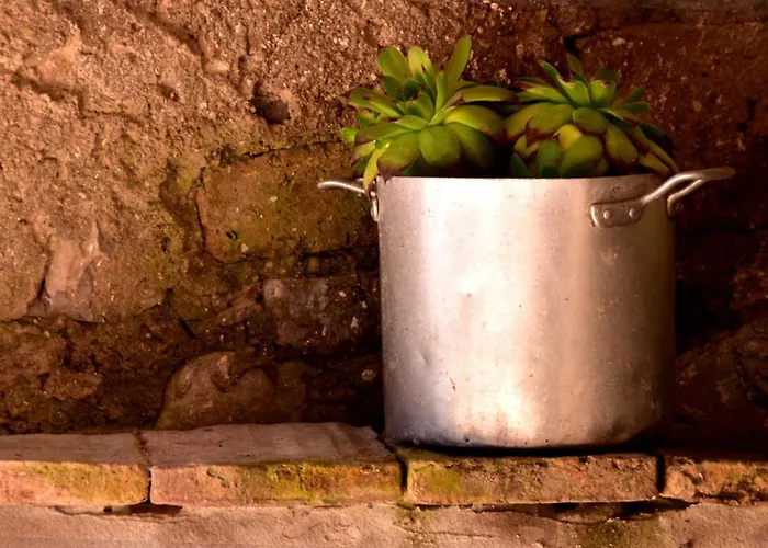 Tourist Farm škerlj