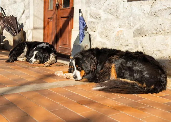 Tourist Farm škerlj Bauernhof