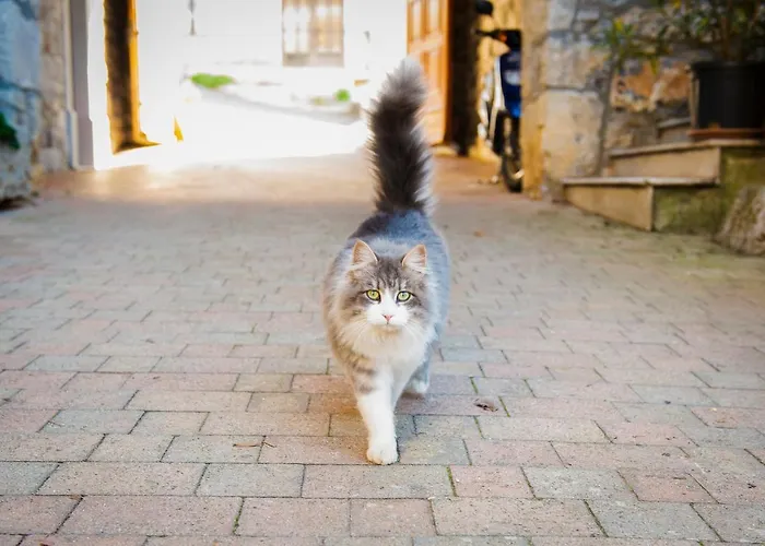 Lantgård Tourist Farm Skerlj *